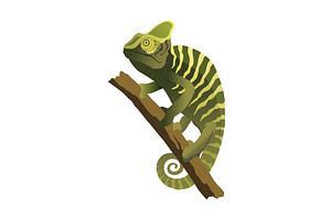 Chameleon lizard. Reptiles, an Animal Illustration by Things for designers