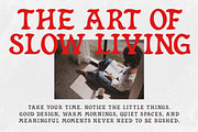 ROVELA VELVET – Organic Retro Font, a Serif Font by decographstud (Thumbnail 6 of 6)