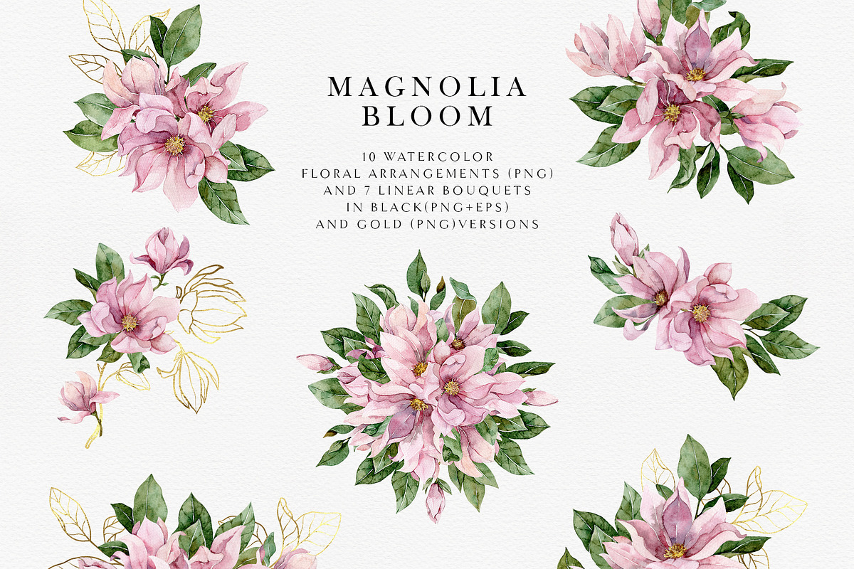Magnolia bloom - spring floral set, an Illustration by long summer (Photo 3 of 10)