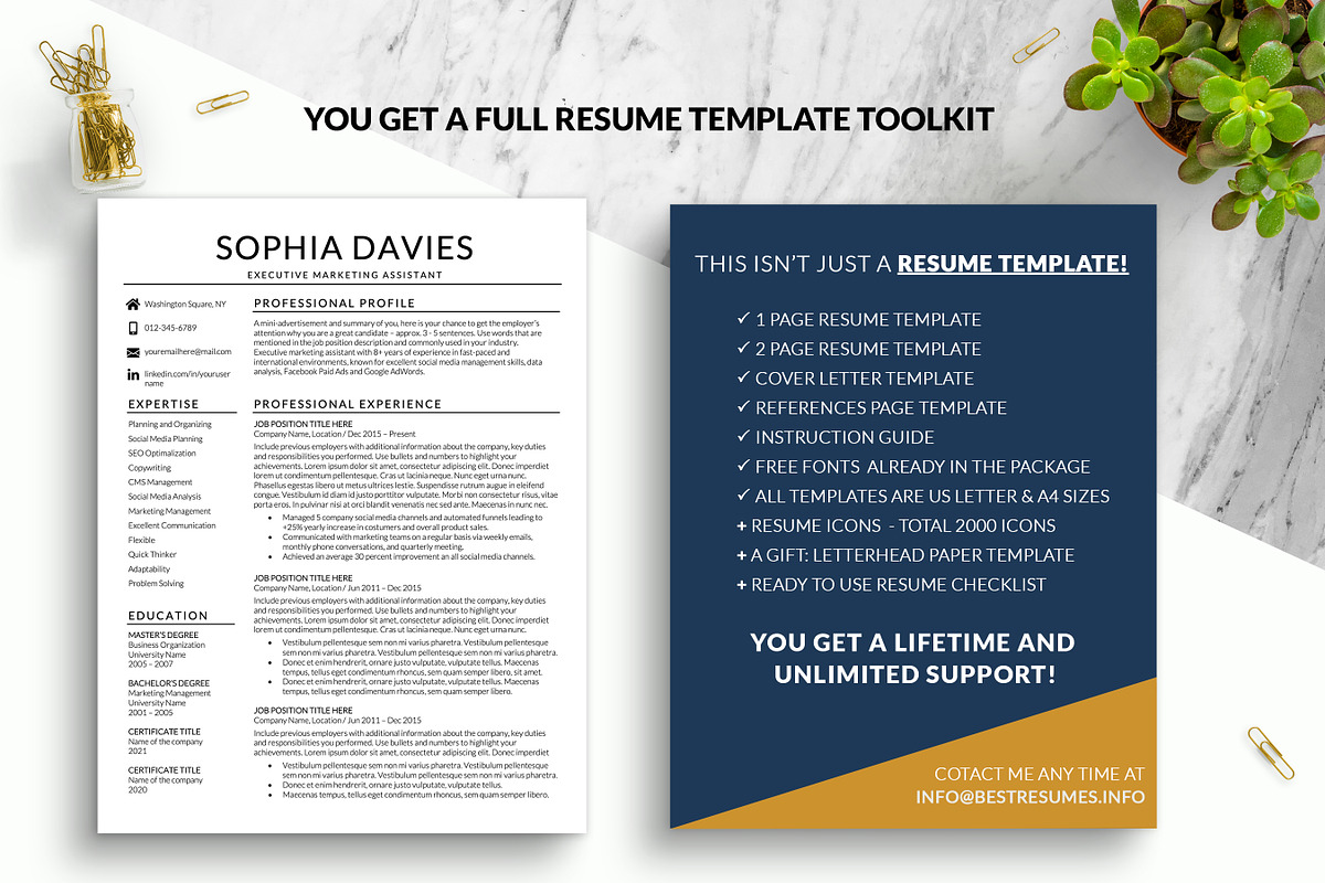 Professional Resume Template Word, a Resume Template by BestResumes.Co (Photo 7 of 7)