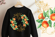 Tangerines Watercolor collection, a Decorative Illustration by SashaKondr (Thumbnail 4 of 14)