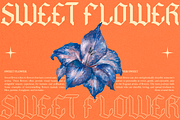 Hyacinth - Modern Blackletter, a Blackletter Font by Dharmas Foundry (Thumbnail 2 of 15)