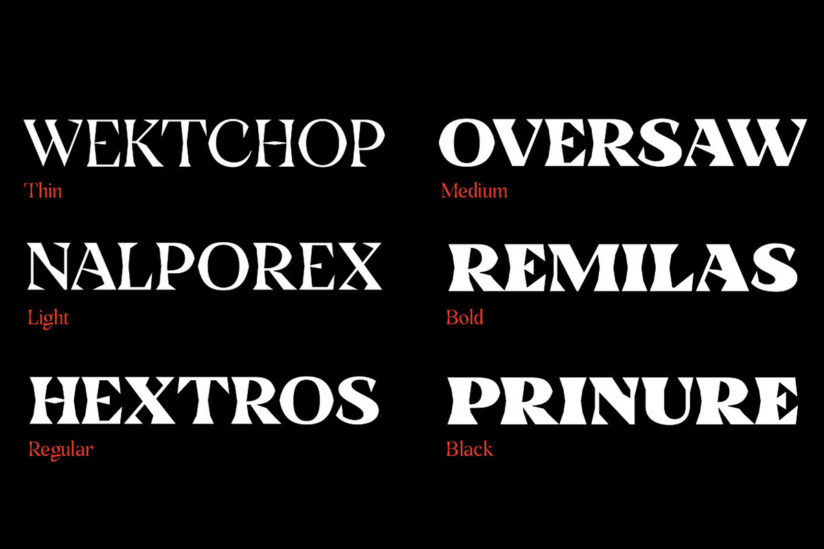 Kenza Font Family, a Serif Font by Alex_Camacho_Studio (Photo 9 of 9)