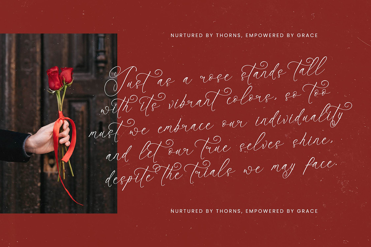 Notheli Dahlia Stylish Beauty Script, a Script Font by stylishtype.co (Photo 5 of 20)