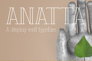 Anatta Display Serif Typeface