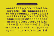 Bikers Groovy Retro Serif Font, a Serif Font by timelesstype.co (Thumbnail 14 of 15)