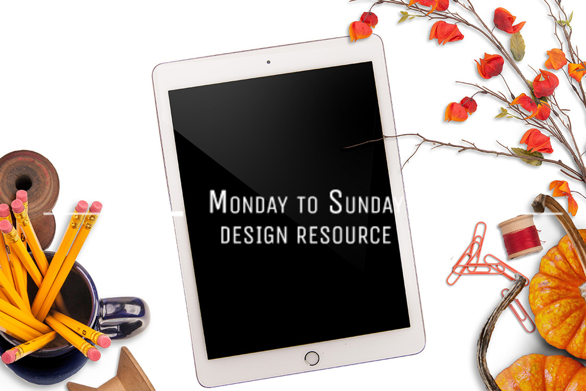 GET IT ALL: Mockups Bundle, a Cups & Container Mockup by Snark Heart (Photo 8 of 25)