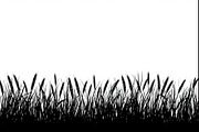 Wheat Field Border Bundle, an Illustration by Designs_River (Thumbnail 8 of 9)