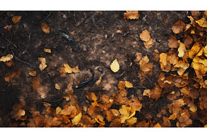 forest foliage november abstract, a Nature Photo by pikepicture
