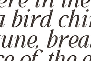 Glevora - Elegant Serif Family, a Serif Font by Youthlabs Studio (Thumbnail 11 of 18)