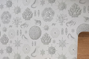 Ocean Symphony vintage design set, an Object Graphic by Beauty Drops (Thumbnail 7 of 13)
