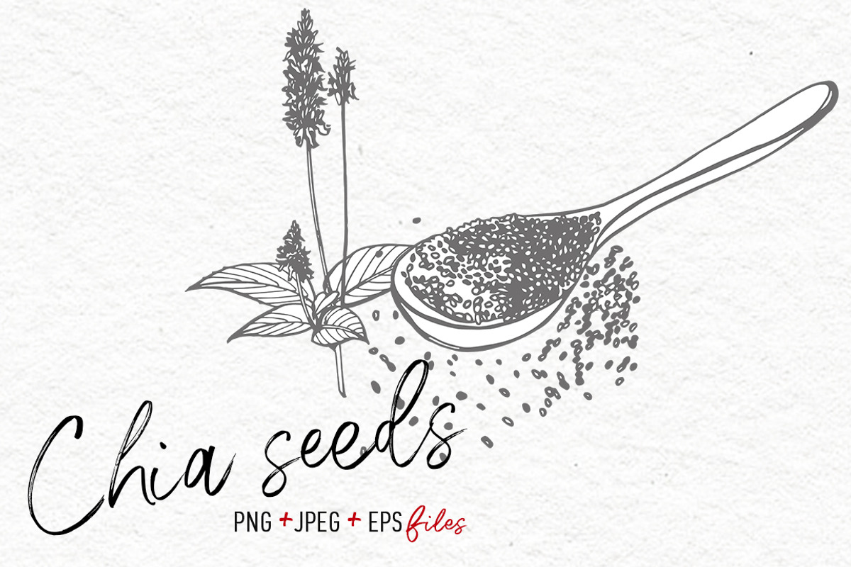 Nuts &  Health snacks, a Food Illustration by Ann Astro (Photo 9 of 12)