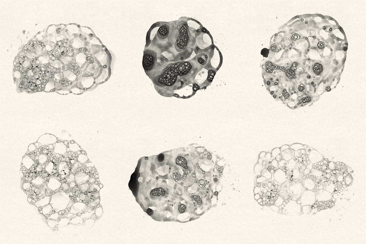Bubble Textures Brush Pack 1 preview 3