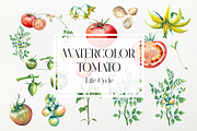 Watercolor Tomato Life Cycle Set, an Education Illustration by Tati Bordiu (Thumbnail 1 of 5)