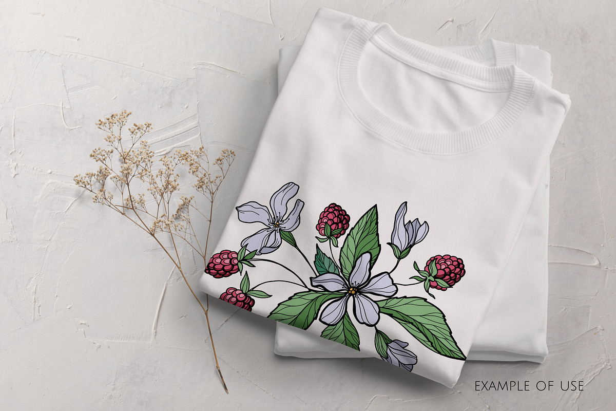 Raspberry | Line art & Color vector, a Decorative Illustration by Dervik Art Store (Photo 7 of 8)