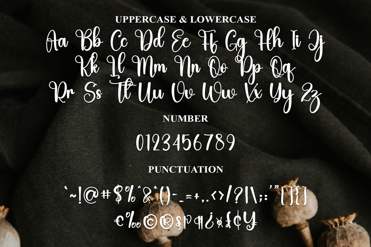 Evolution, a Script Font by FreshTypeINK (Photo 2 of 9)