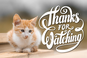 Thanks for Watching Lettering