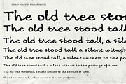 Stanley Hollister - Premium Bundle, a Handwritten Font by Punch (Thumbnail 8 of 8)