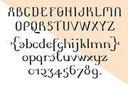 Novo Fika, a Serif Font by NovoTypo (Thumbnail 2 of 5)