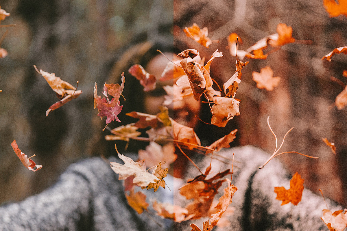 10 Autumn - Fall Lightroom Presets, a Preset Add-On by VividFrame (Photo 8 of 9)