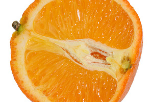 Half of a ripe orange in a cut on an isolated background, a Food & Drink Photo by ndanko