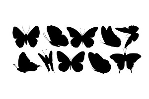 Set of butterfly silhouettes. hand, an Animal Illustration by Nenahliadava Design