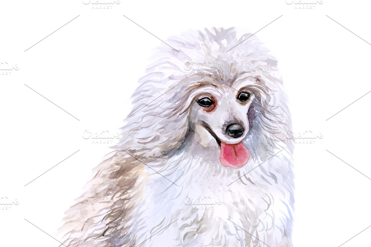 Watercolor Dogs Mega Big Bundle, an Illustration by Dneprstock (Photo 52 of 60)