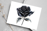 Black and Silver Glam Roses Clipart, an Illustration by Canvas Craft (Thumbnail 7 of 9)