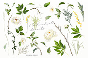 White peonies, a Decorative Illustration by Vasmila (Thumbnail 6 of 9)