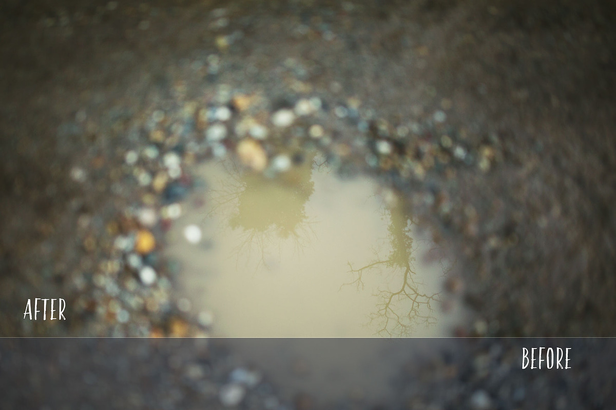 Allium PHOTOSHOP action, an Action Add-On by Les Hirondelles Ph (Photo 8 of 9)