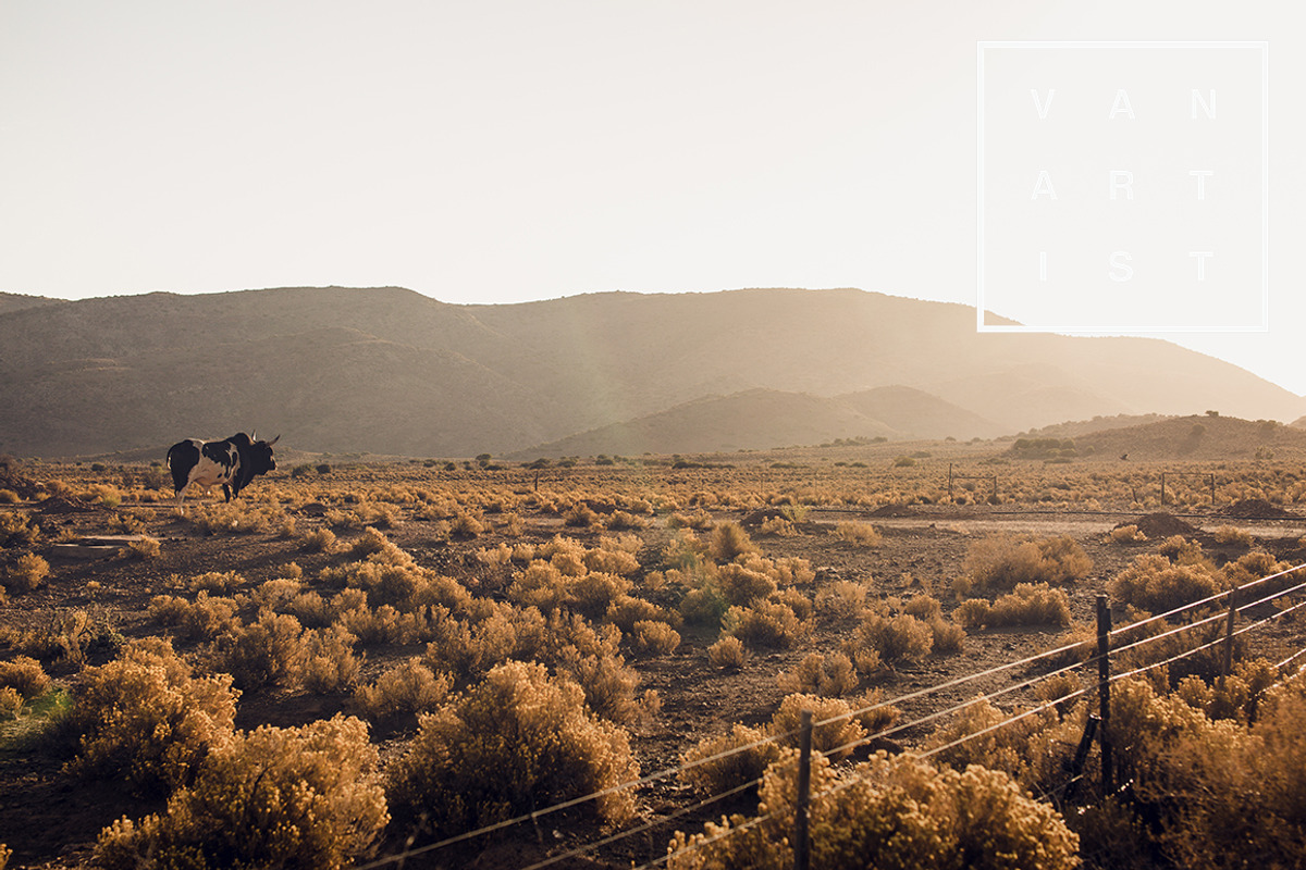10 Roadtrip Lightroom Presets, an Action Add-On by Vanartist Presets (Photo 4 of 10)
