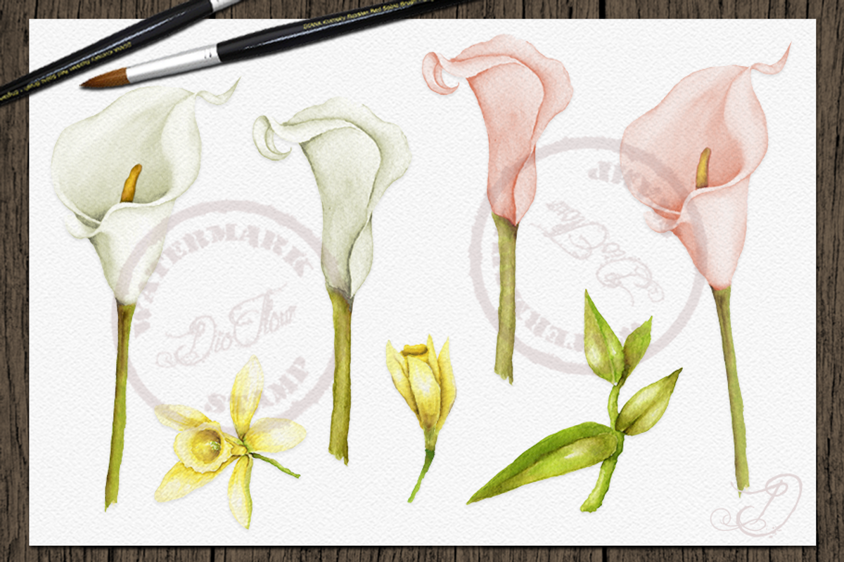 Tropical Big Pack Watercolor Clip, a Decorative Illustration by DioFlow (Photo 17 of 26)