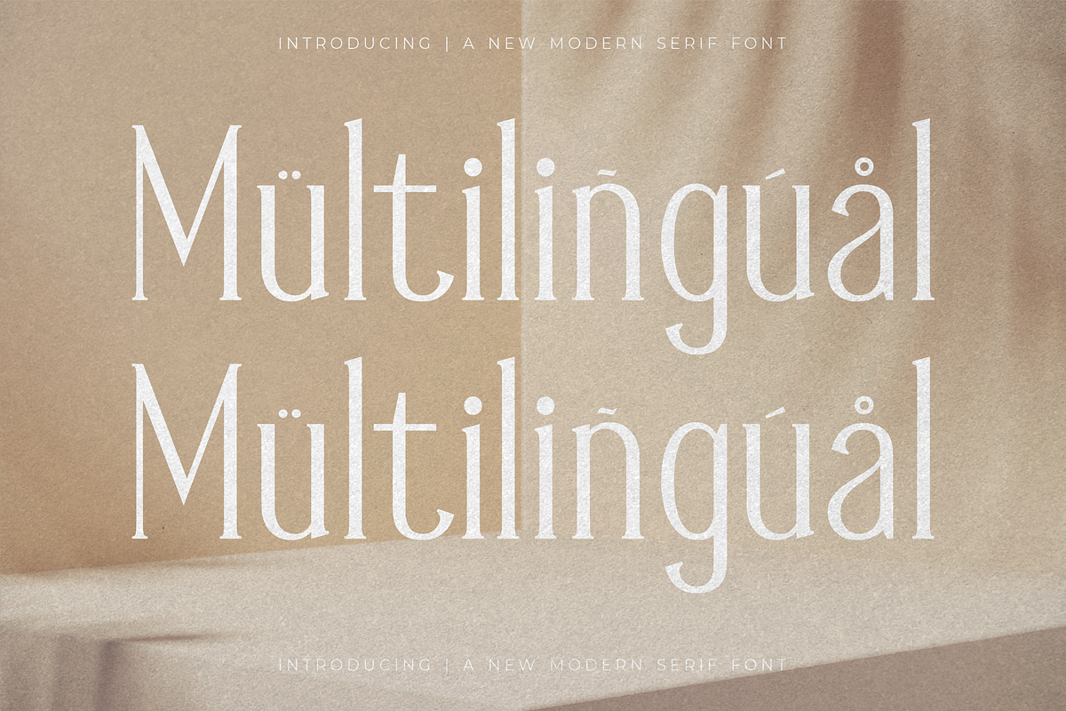 Mendalion A New Modern Serif Font, a Serif Font by Storytype Studio (Photo 12 of 15)