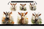 Watercolor PNG  Baby Goat Clipart, an Animal Illustration by Geniecreativestudio (Thumbnail 4 of 9)