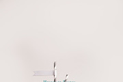 11 Cute Straw Flag Mockups, a Product Mockup by Snark Heart (Thumbnail 12 of 12)