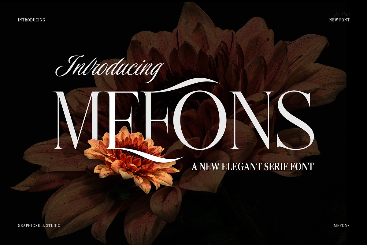 Mefons Elegant Serif Font, a Serif Font by Graphicxell (Photo 1 of 8)
