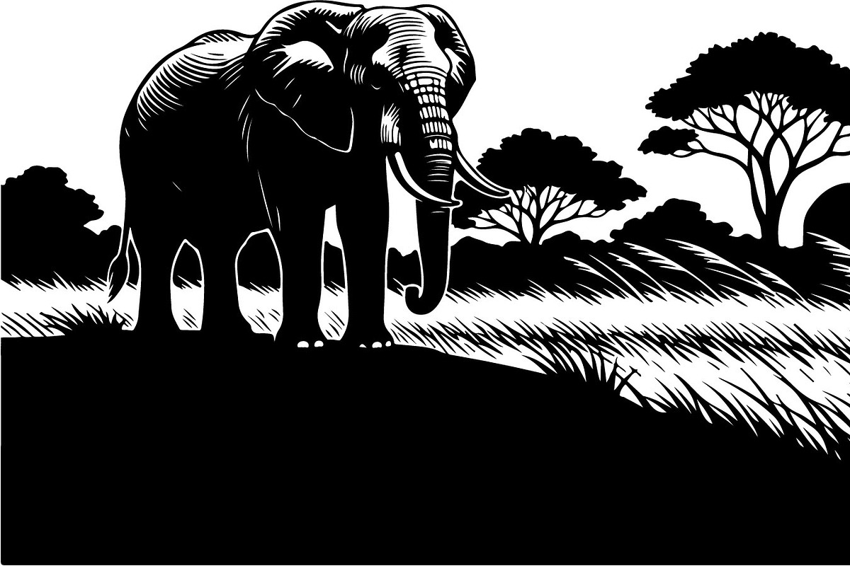Wild Elephant Silhouette Set, an Illustration by jahid234 (Photo 15 of 21)