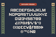 Saylery Typeface, a Sans Serif Font by 24Design Studios (Thumbnail 9 of 9)