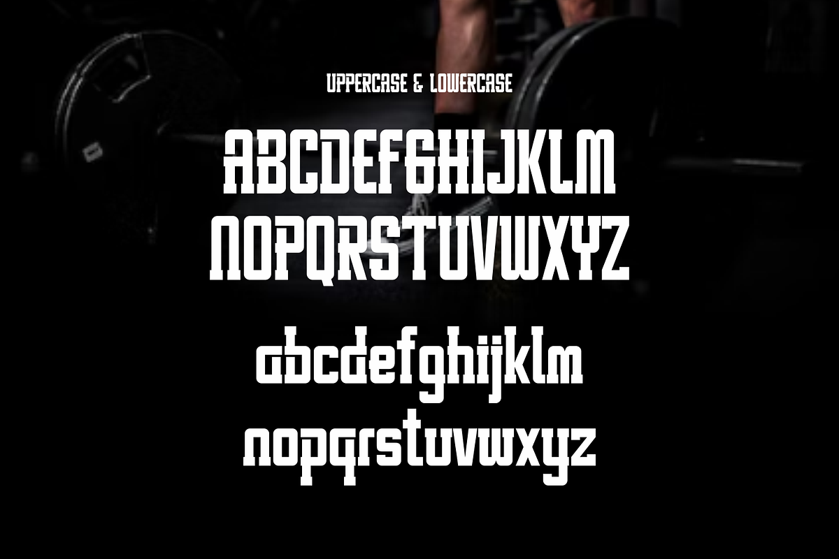 Badrung, a Serif Font by lelevien (Photo 3 of 5)
