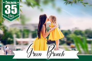 35 green branch photoshop overlays