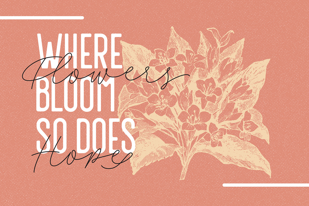 Filia - Script, Sans, & Bold Font preview 6