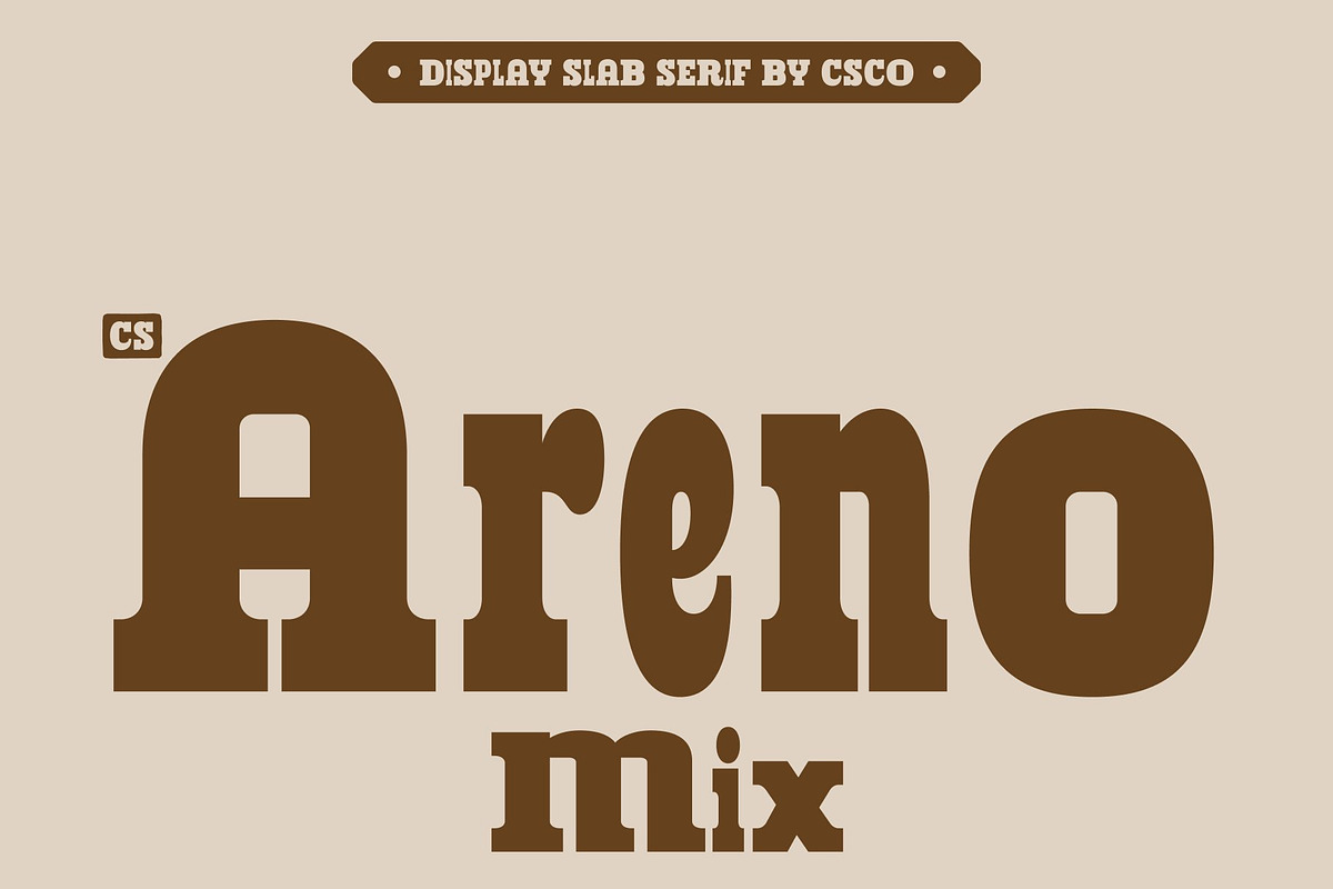 CS Areno Mix, a Slab Serif Font by Craft Supply Co. (Photo 1 of 8)