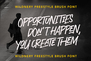 Wildnery - Freestyle Brush Font