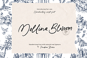 Mollina Blossom Handwritten, a Handwritten Font by Pinakiaa Studios (Thumbnail 1 of 11)