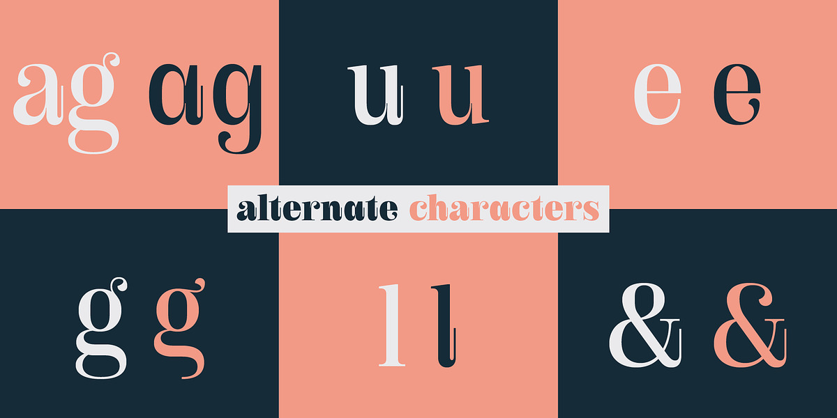 Royalis, a Serif Font by Julien Fincker (Photo 15 of 15)