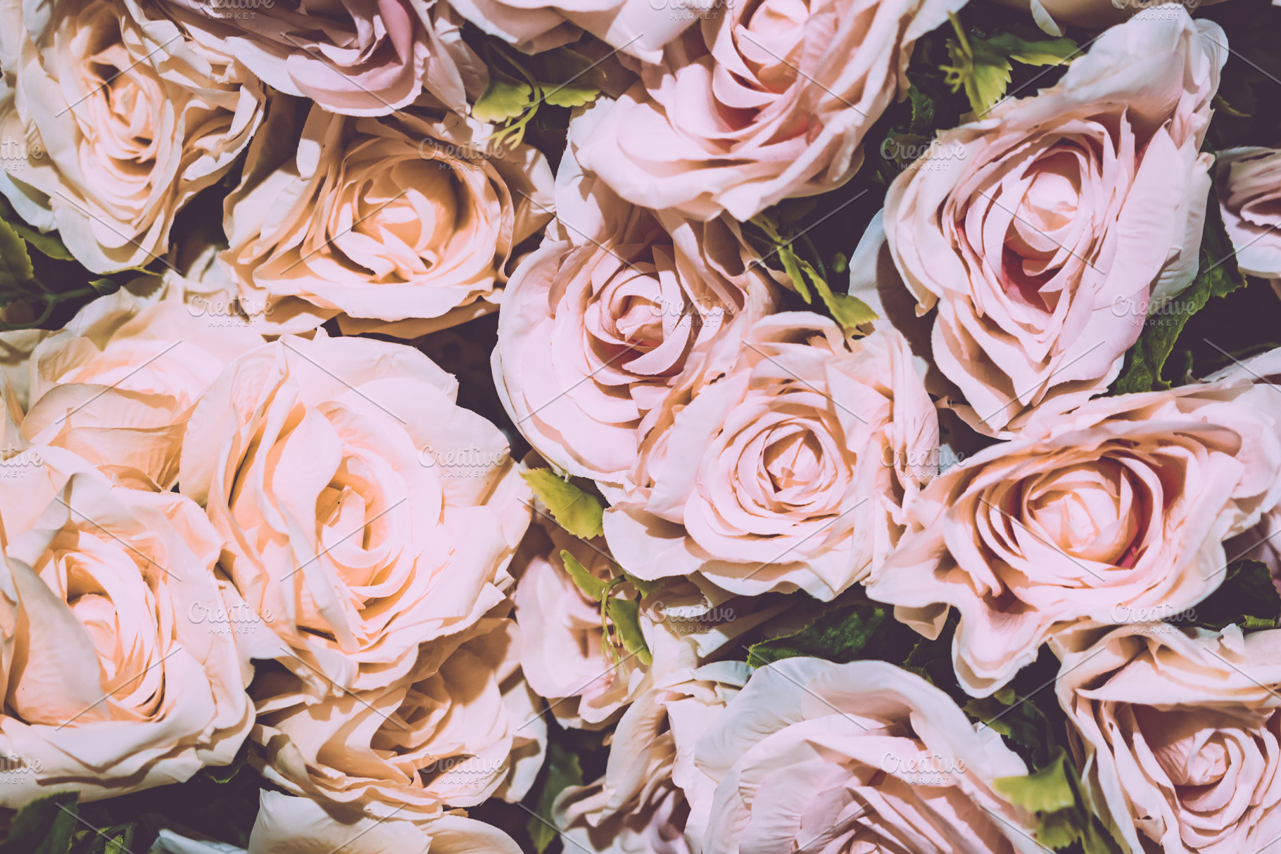 Retro rose flower background, a Beauty & Fashion Photo by Pushish Images