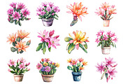 Cactus green Clipart, an Illustration by Design Market (Thumbnail 3 of 3)