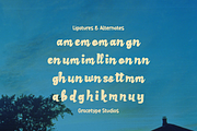 Skypie Summary | Playful Display, a Handwritten Font by gracetype_studio (Thumbnail 11 of 11)