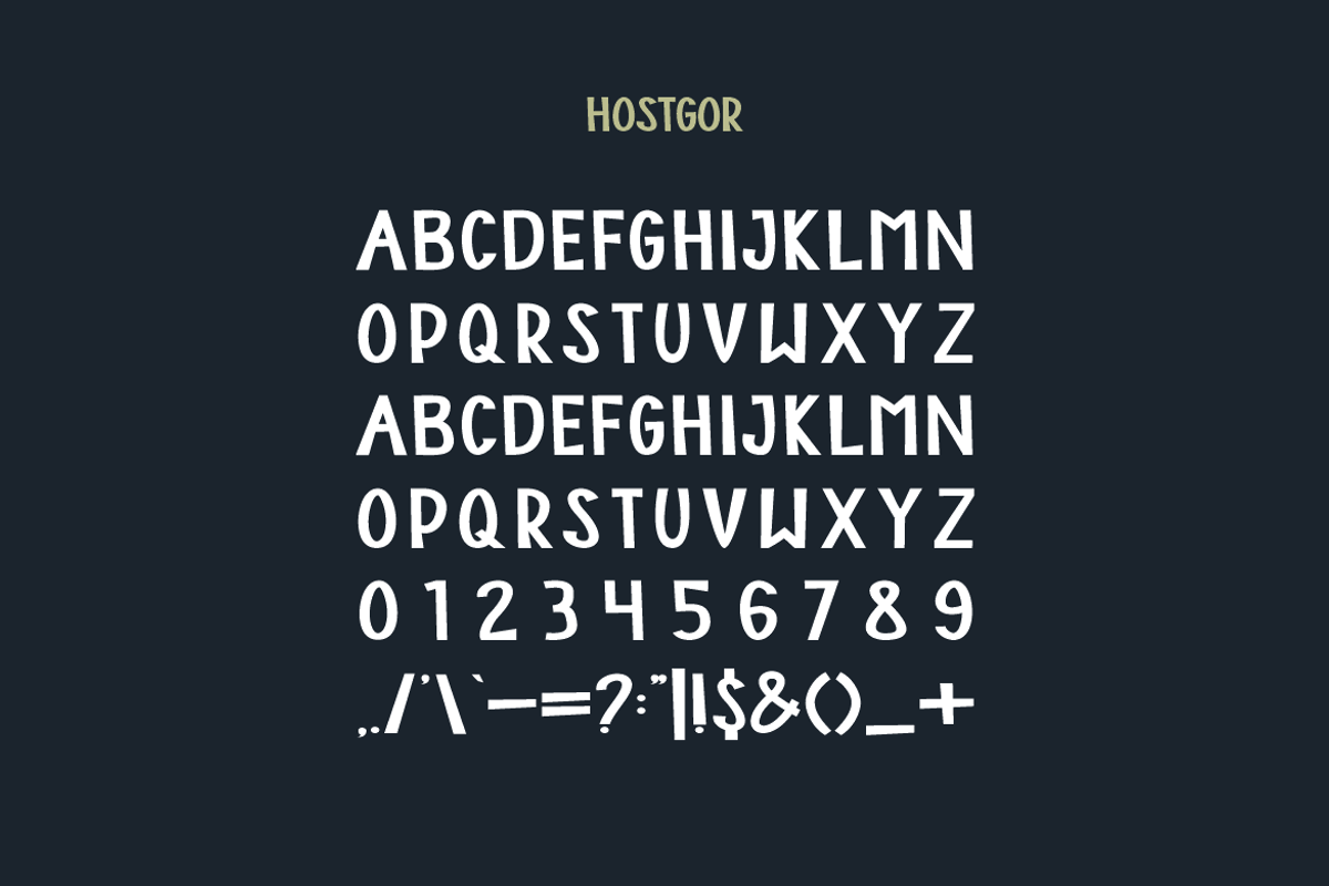 Hostgor - Modern Sans Font, a Sans Serif Font by Iqsiart Studio (Photo 5 of 7)