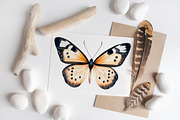 Boho Butterflies Collection, an Illustration by ArtIrisArt (Thumbnail 5 of 9)